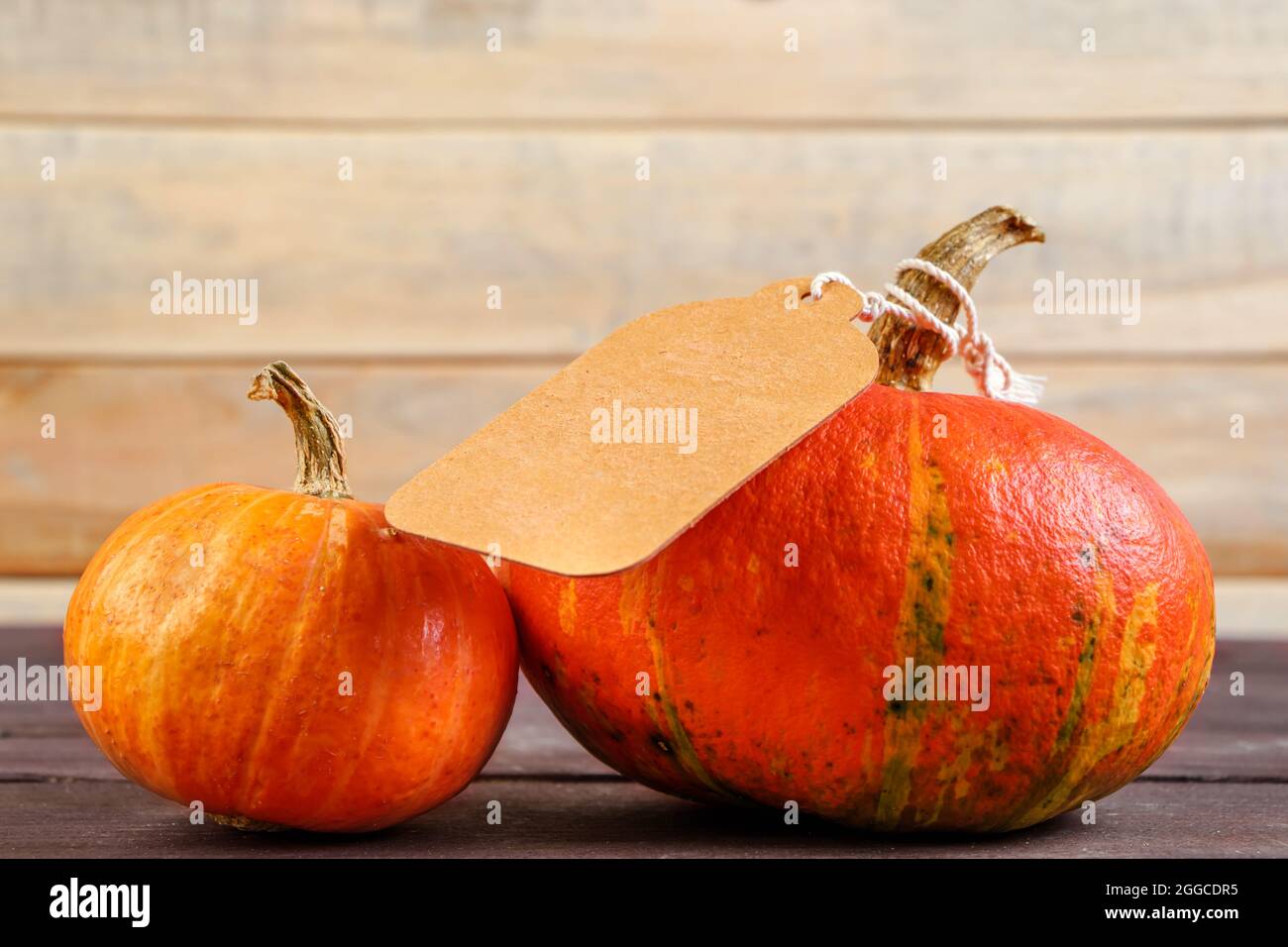 Harvest and autumn sale concept. Ripe pumpkin with a label on a wooden background. Thanksgiving holiday. Copy space. Stock Photo