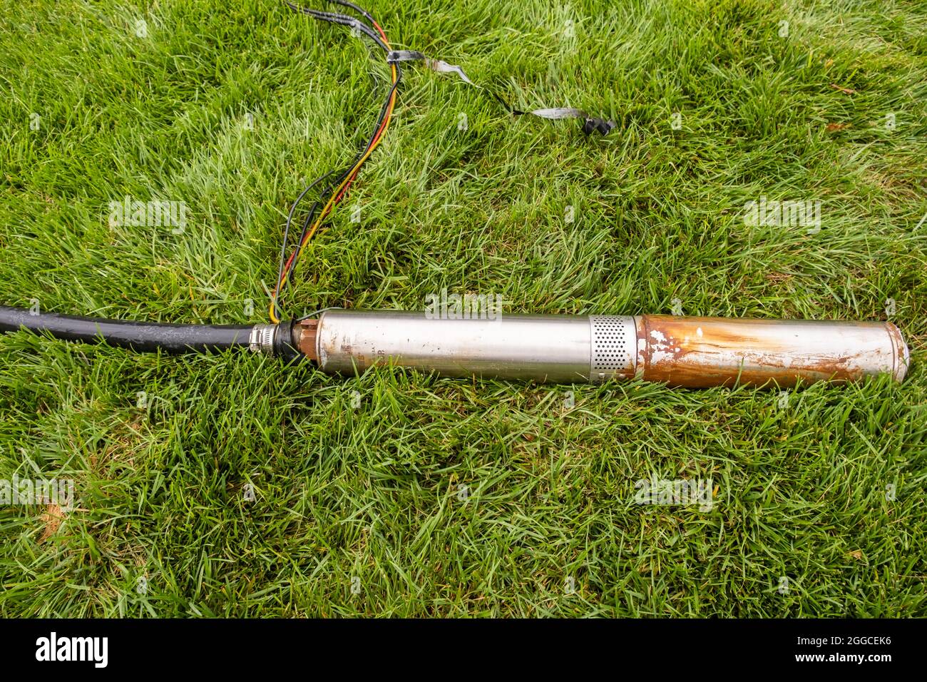 Faulty in ground lawn sprinkler pump lying in tall fescue grass in the process of being changed out for a new one. Stock Photo