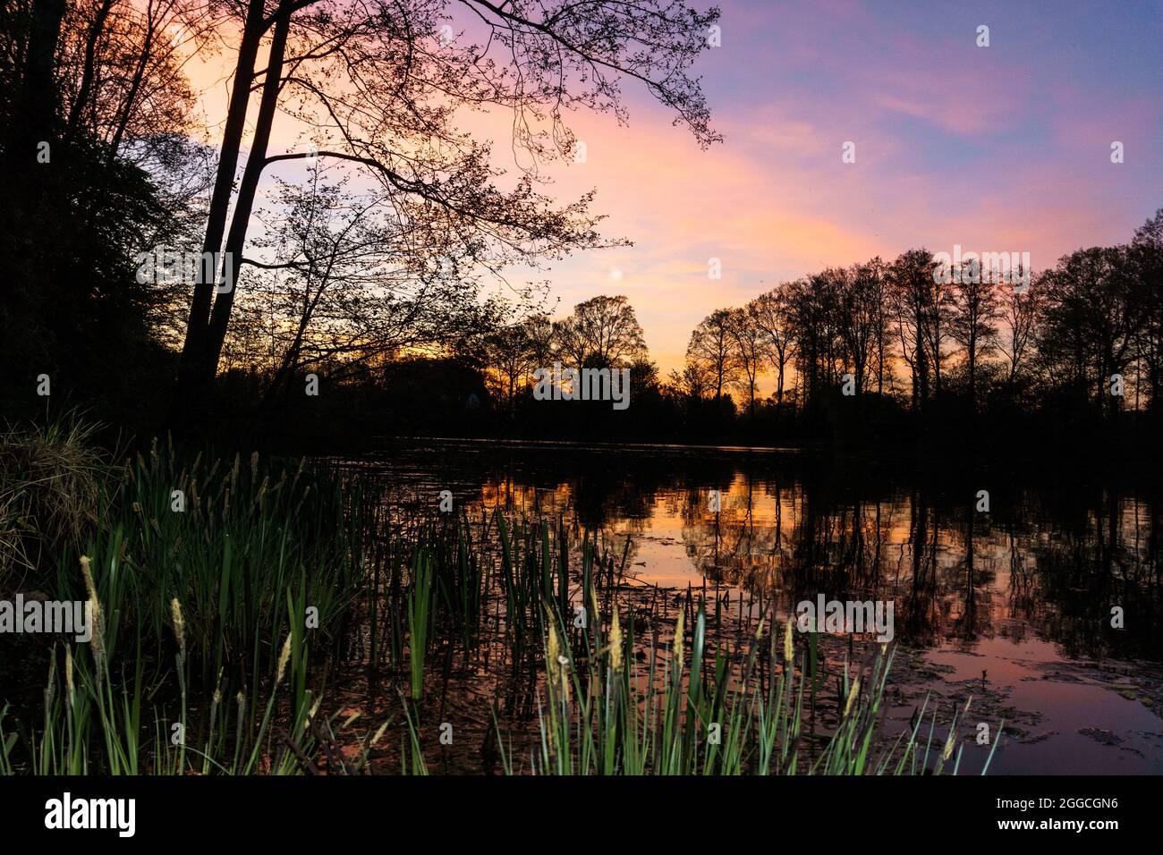 Colorful sunset at the lake with silhouette of trees and reflection on ...