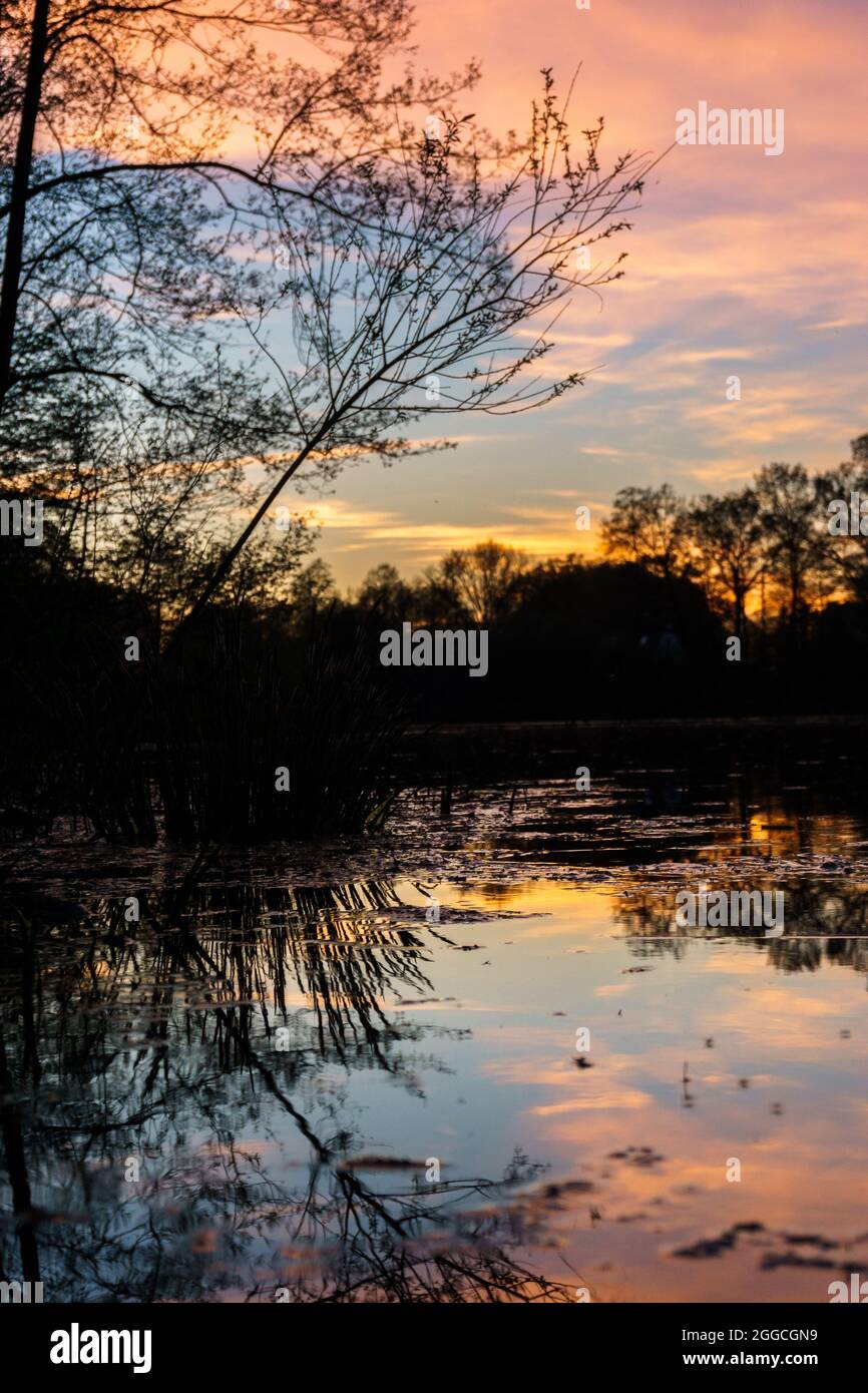 Colorful sunset at the lake with silhouette of trees and reflection on ...