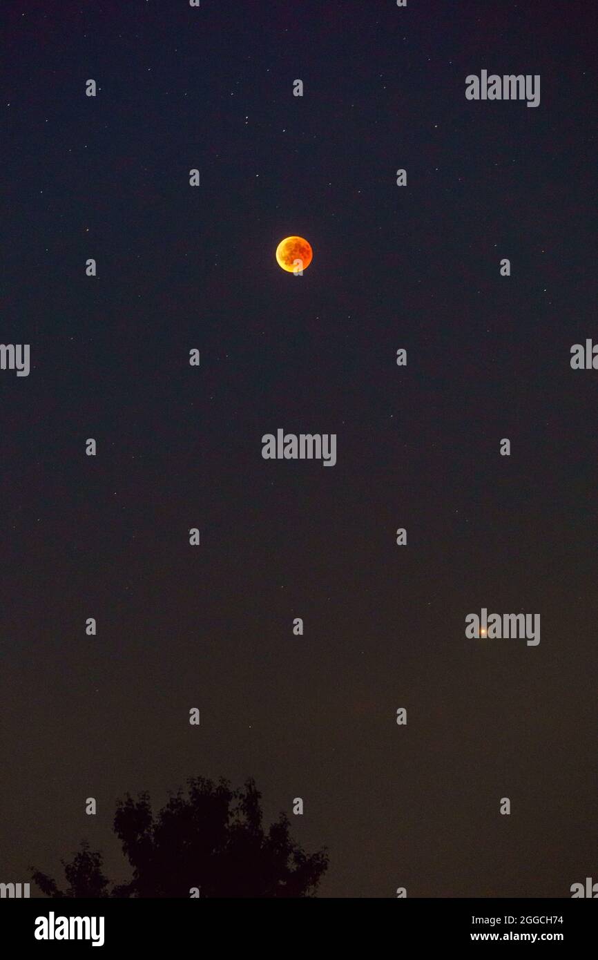 red moon of the total lunar eclipse 2018 with mars and a silhouette of a tree in foreground Stock Photo