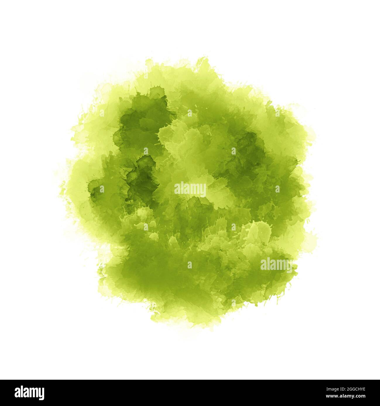 Modern painting Yellow light green shades Gradient arbitrary ink brushstrokes isolated on white surface Watercolor bouquet Abstract pattern Contempora Stock Photo