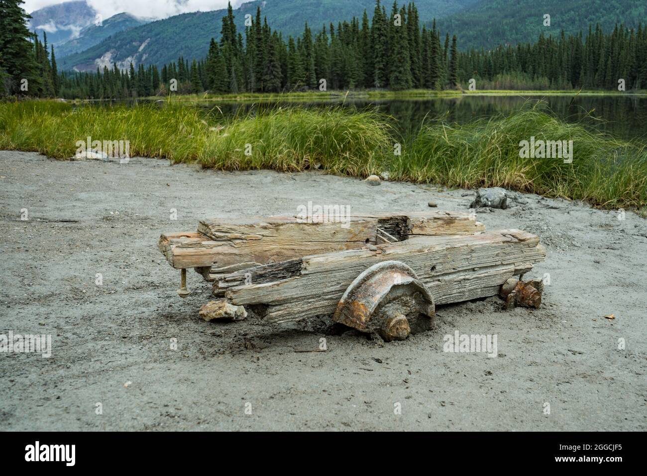 Abandoned car overgrown with weeds hi-res stock photography and images ...
