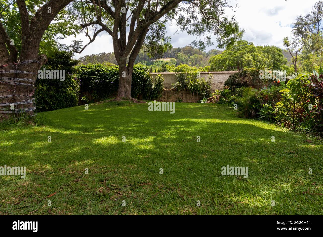park with trees and green grass Stock Photo - Alamy