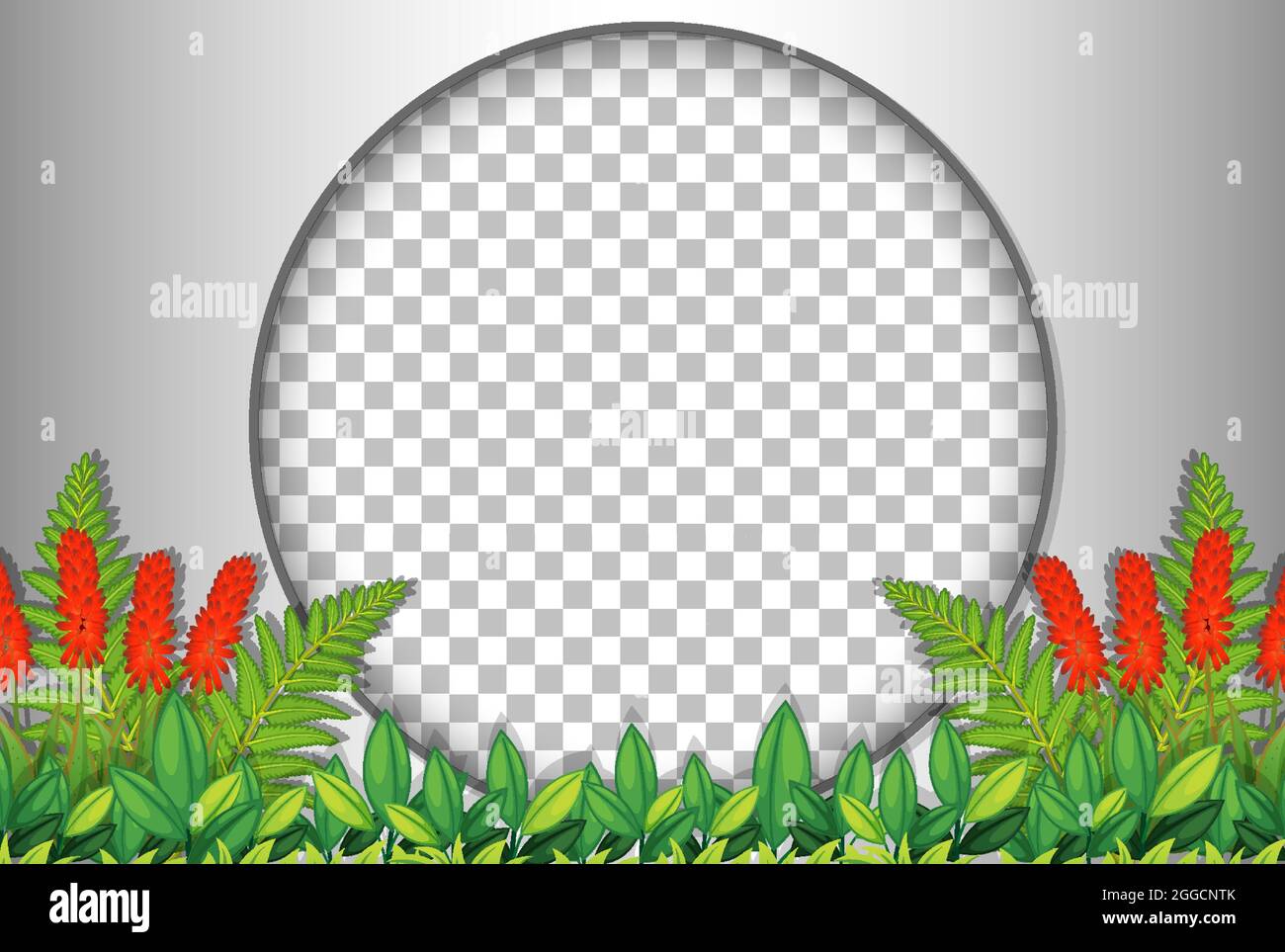 Round frame transparent with tropical leaves template illustration ...