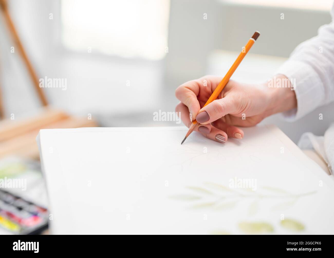 Sketching with pencil on white paper Stock Photo Alamy