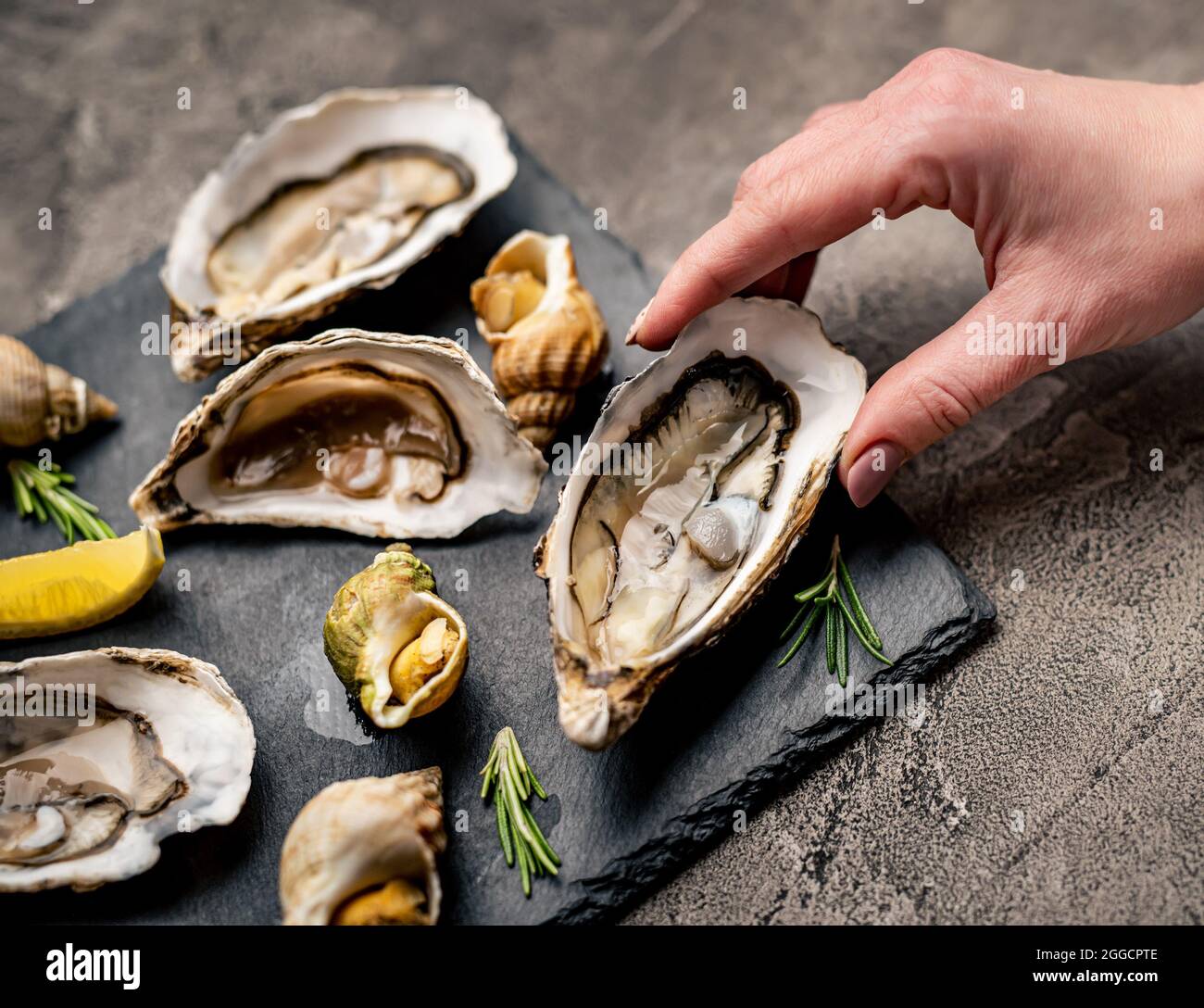 Set of oysters and snails on black platter Stock Photo