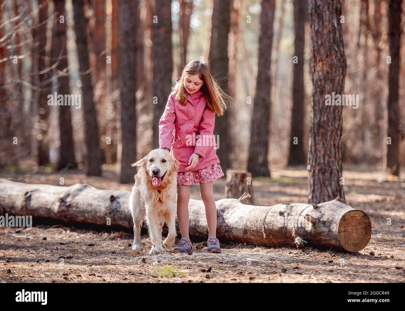 Little girl with golden retriever dog in the wood Stock Photo - Alamy