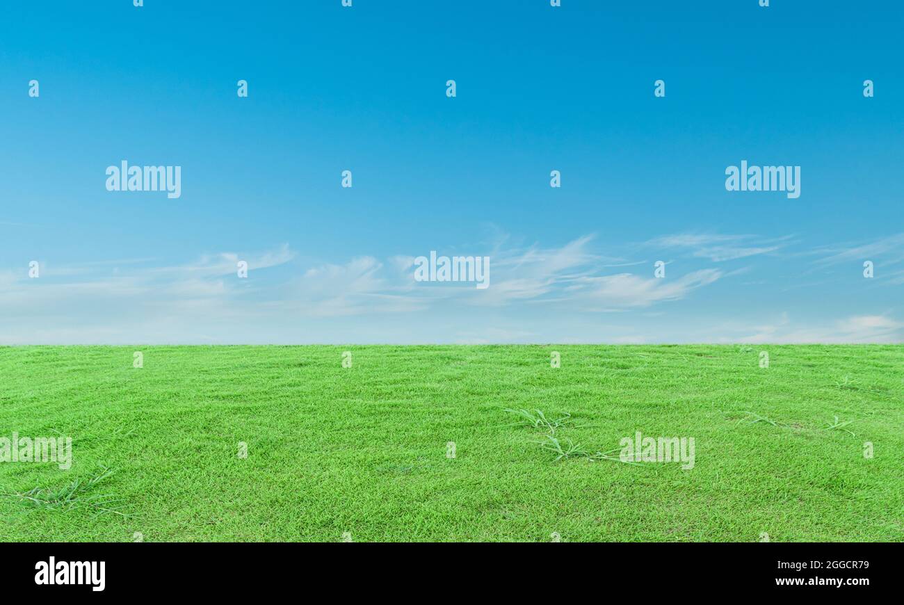 Green grass field and blue sky with clouds background Stock Photo - Alamy