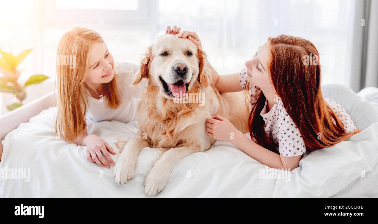 Girls with golden retriever dog in the bed Stock Photo - Alamy