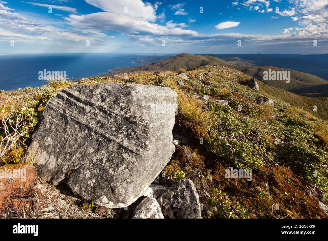 Granite block on the summit of Mt Anglem Hananui. Stewart Island Rakiura Stock Photo