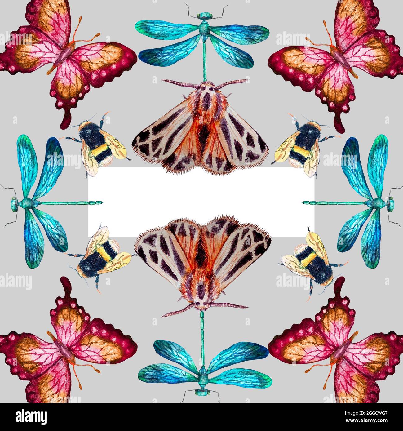 watercolor frame with insects, perfect for print postcard Stock Photo