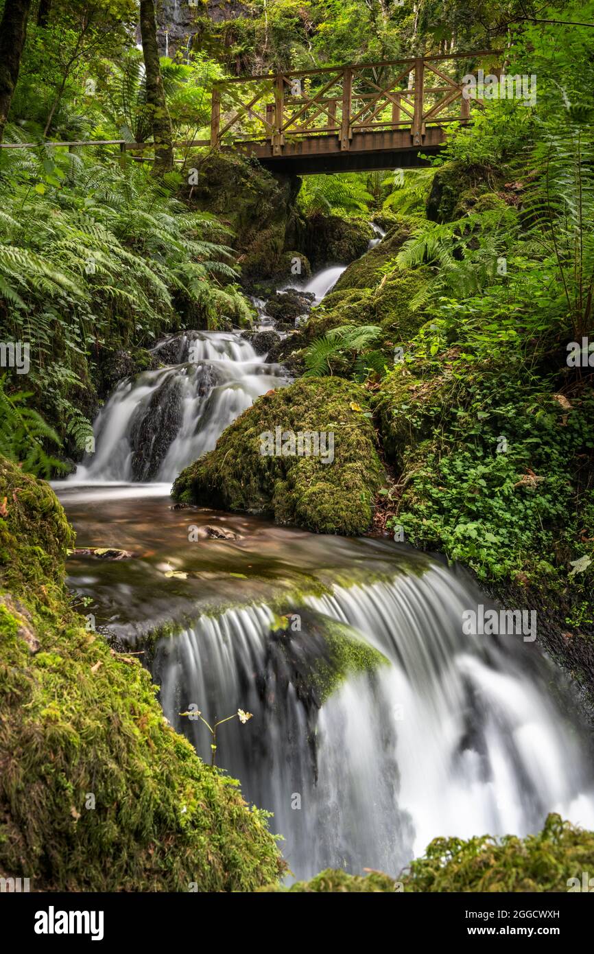 Canonteign Falls is one of the highest waterfalls in England. It can be found in the Teign Valley, Dartmoor National Park near Chudleigh, South Devon, Stock Photo