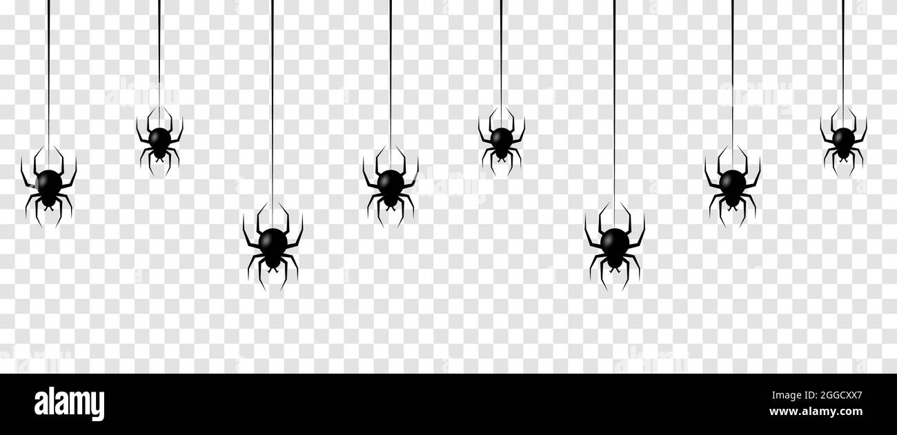 Seamless pattern with hanging spiders. Scary background for Halloween isolated on transparent background Stock Vector