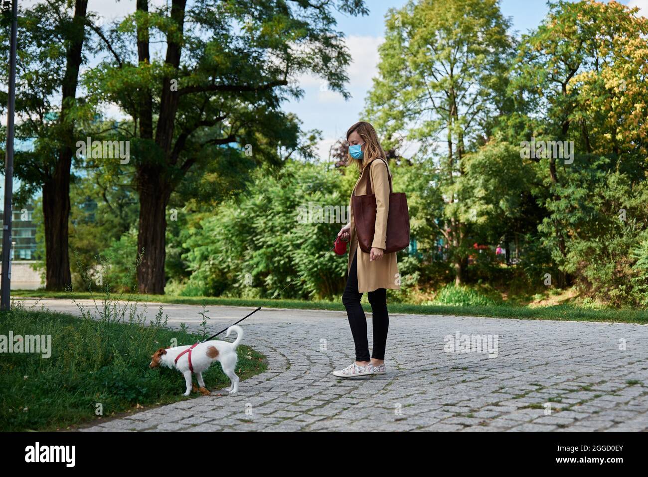 Woman walk with her dog at city street in summer day Stock Photo - Alamy