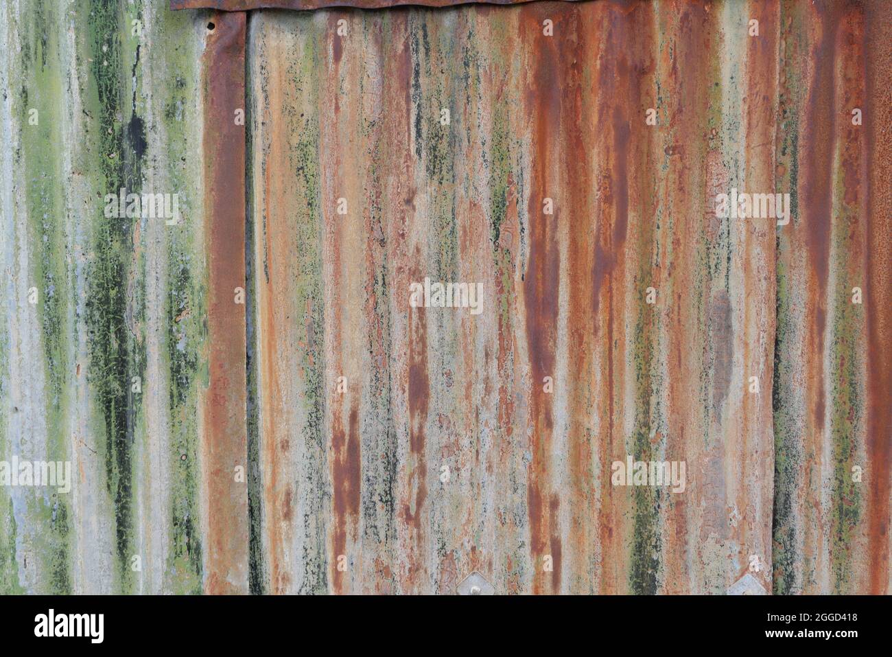 Old rusty corrugated metal background with red oxidisation and green mould Stock Photo