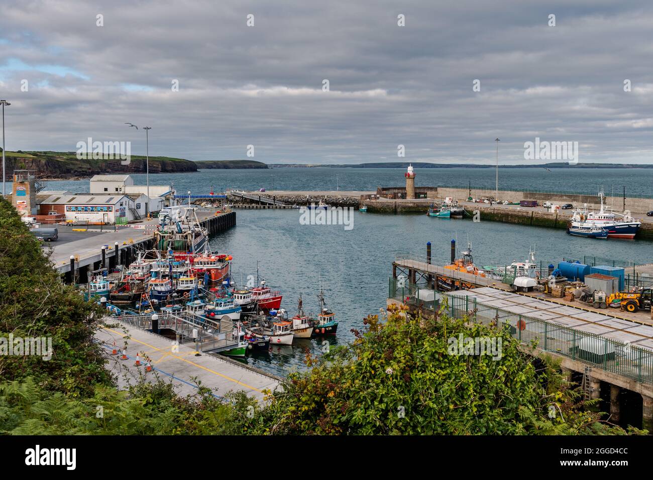 Fishing harbour/port in Dunmore East, County Waterford, Ireland. Stock Photo