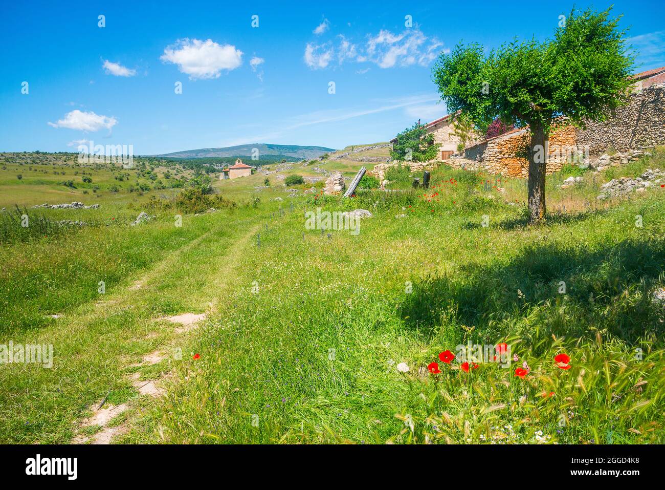 Ruins and landscape. Villacadima, Guadalajara province, Castilla La Mancha, Spain. Stock Photo