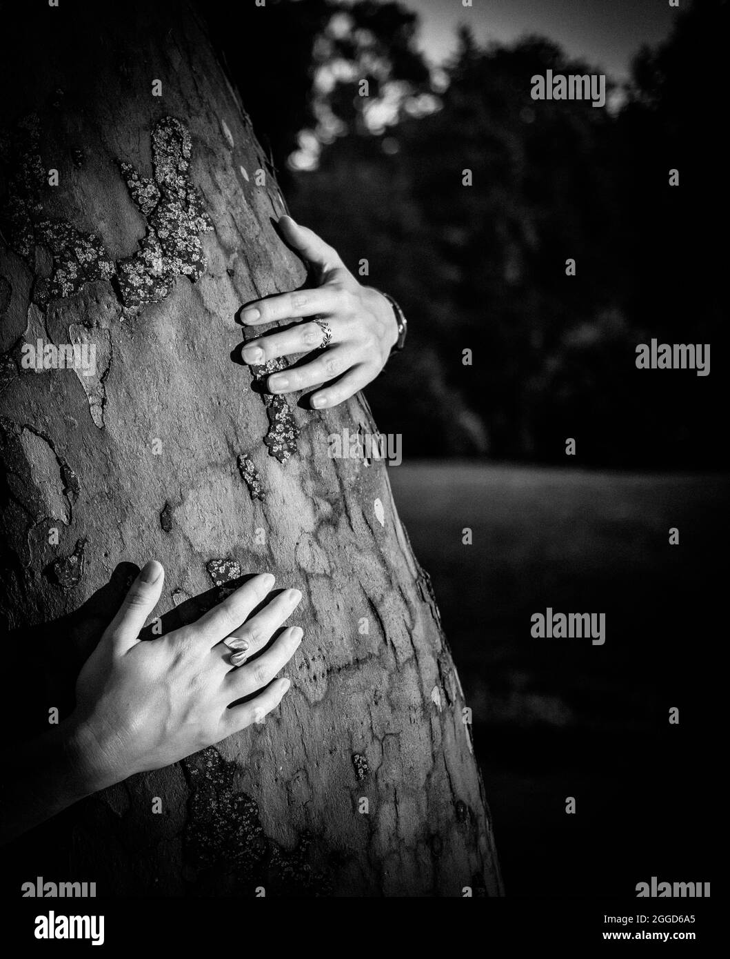 woman hand embracing a tree in the forest - nature loving, fight global warming, save planet earth Stock Photo