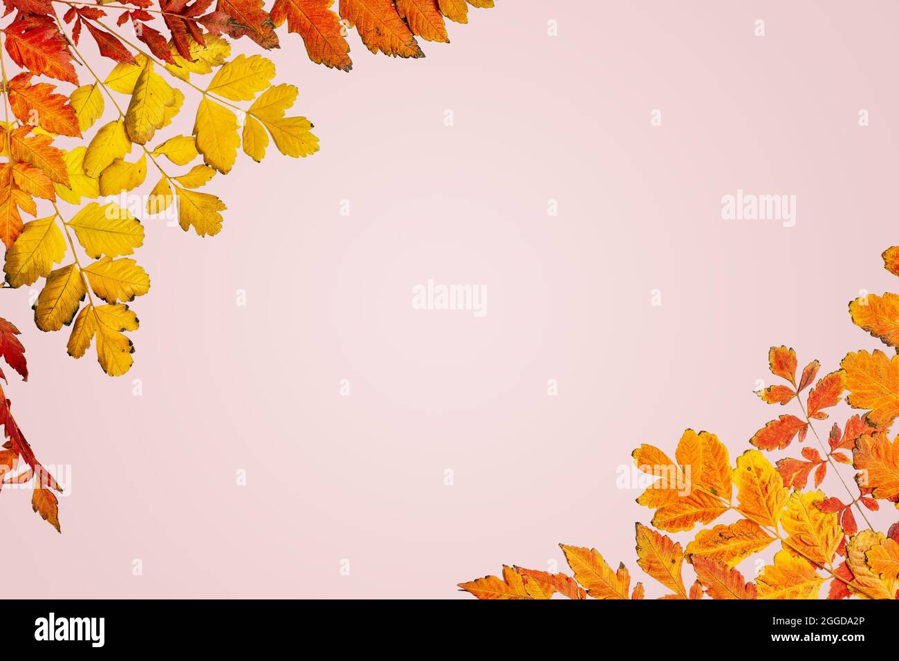 Fall Background Horizontal