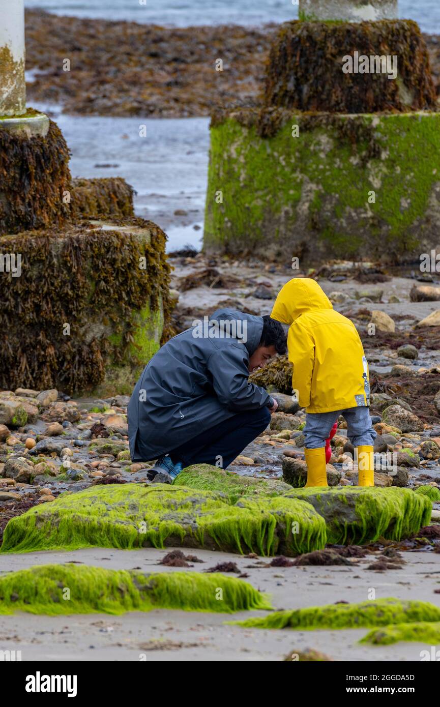 Seaside Wellies High Resolution Stock Photography and Images - Alamy