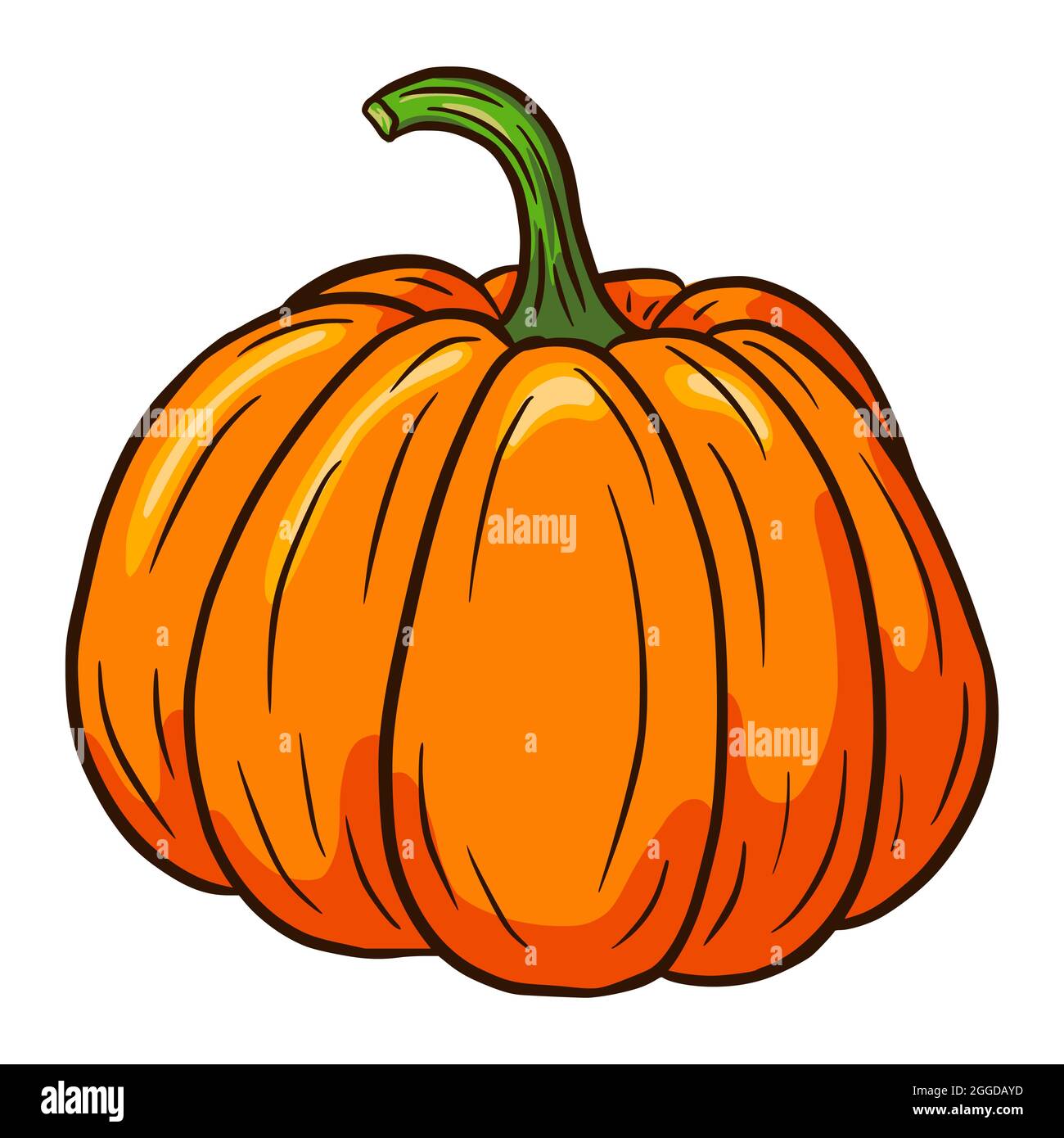 Sugar Pumpkin Illustration. Autumn Food Icon. Ripe squash sketch. Element for autumn decorative design, halloween invitation, harvest, sticker, print, logo, menu, recipe Stock Vector