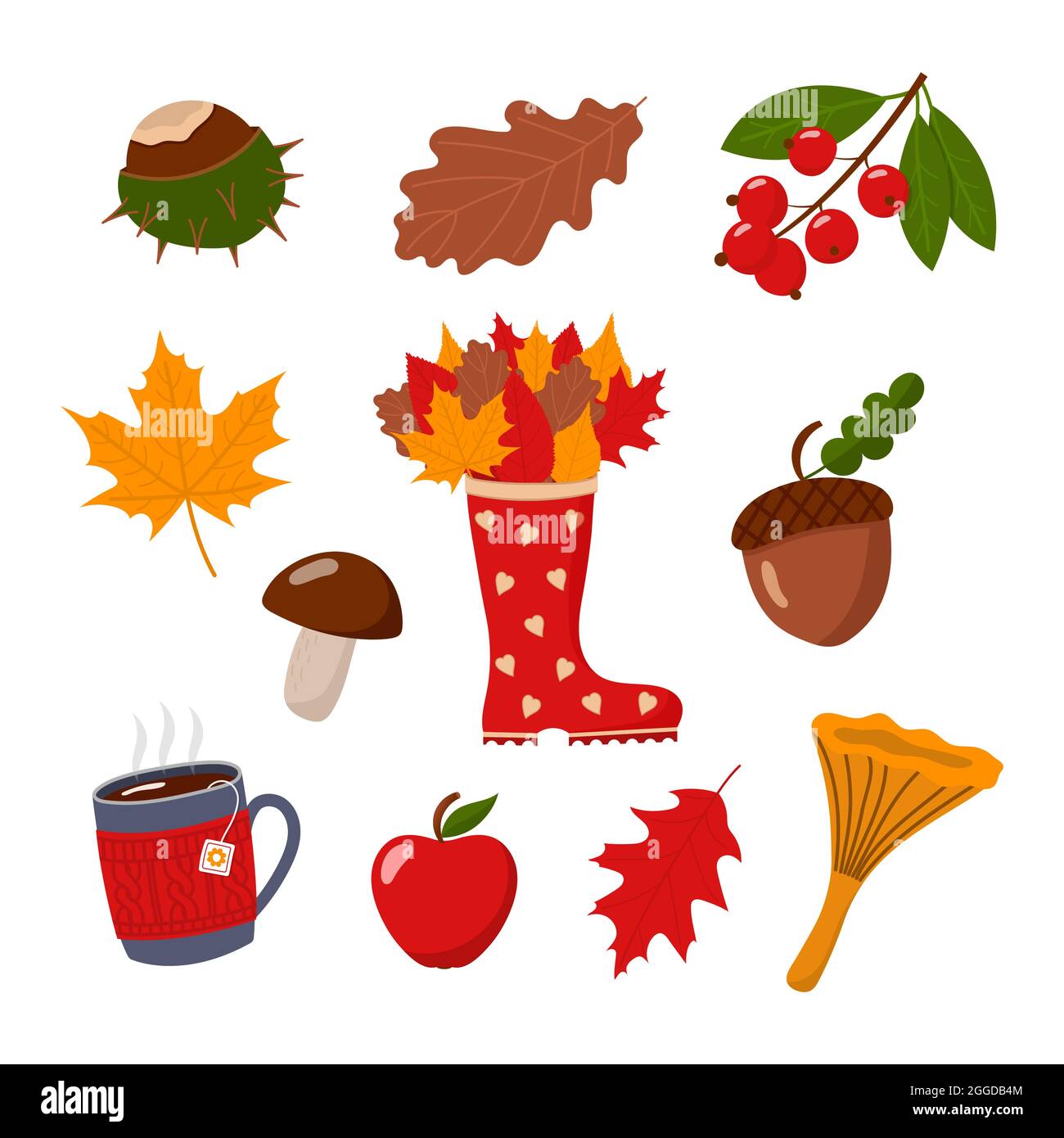 Autumn collection, isolated vector illustration Stock Vector Image ...