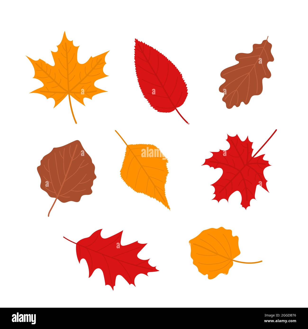 Autumn leaves set, flat vector illustration Stock Vector Image & Art ...