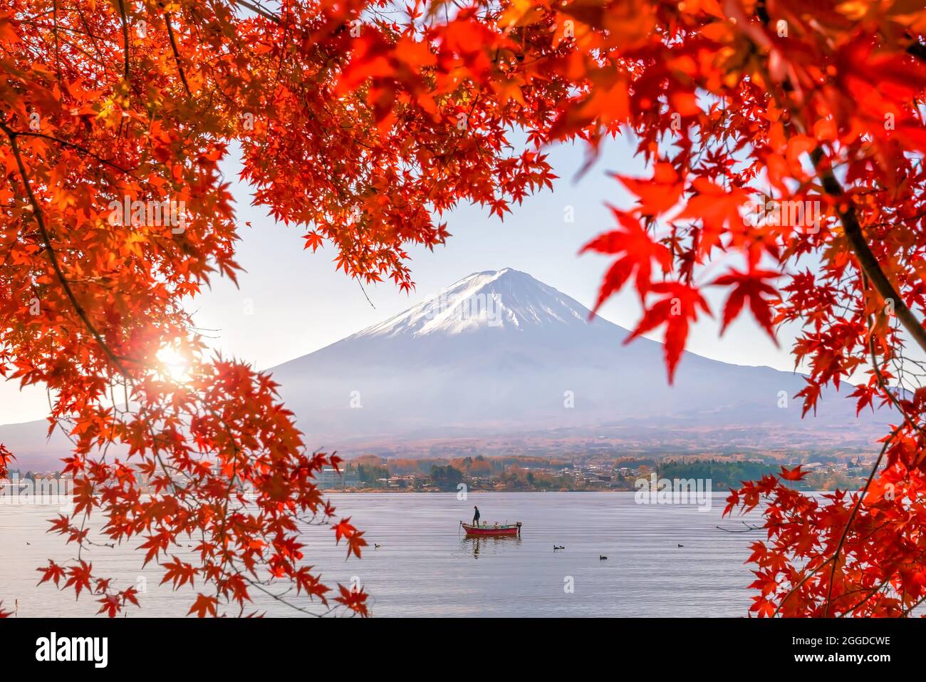 fall magc ing   秋の雪景色 _ SWINSWING Autumn Winter 2025 #スウィング #swing #swinswing