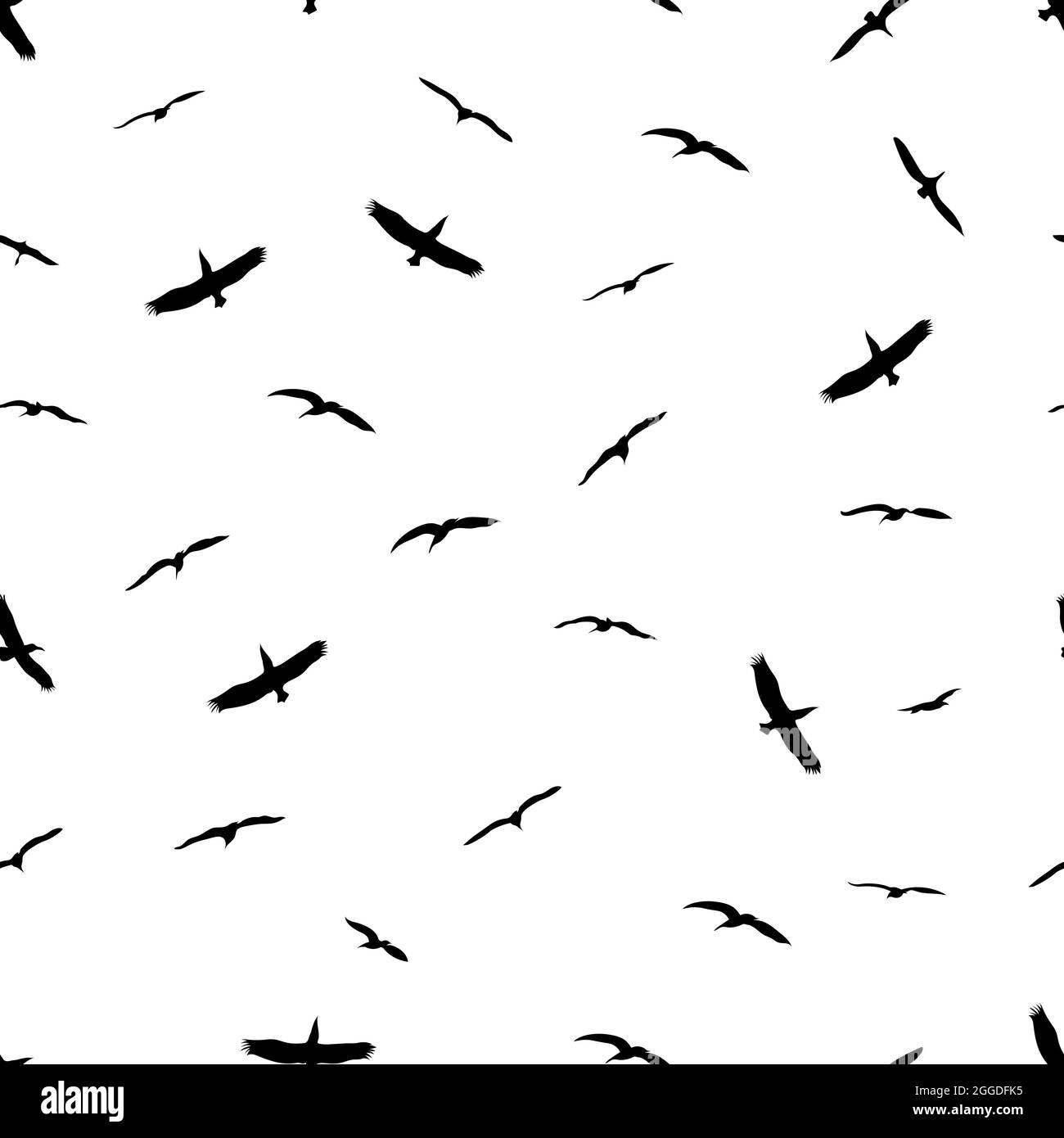 seamless bird on sky isolated white background vector illustration ...