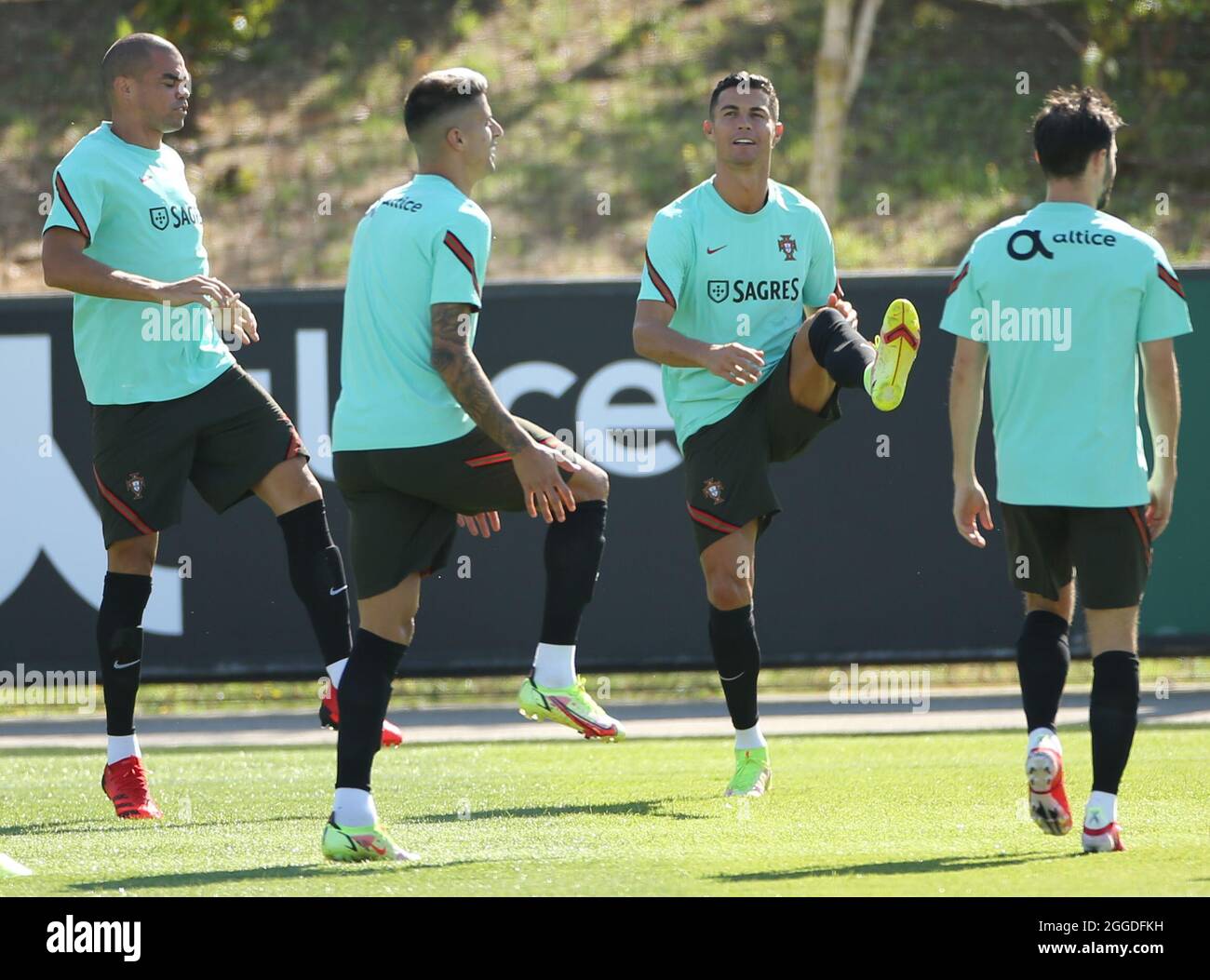 11837853 - UEFA European Qualifiers - Portugal training sessionSearch