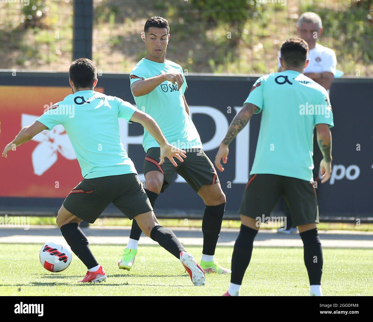 11837853 - UEFA European Qualifiers - Portugal training sessionSearch