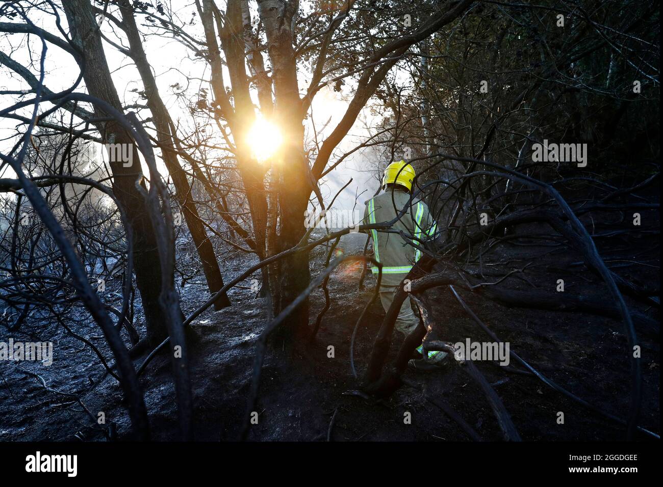 Firefighters from Hampshire Fire and Rescue spray water to douse the ...