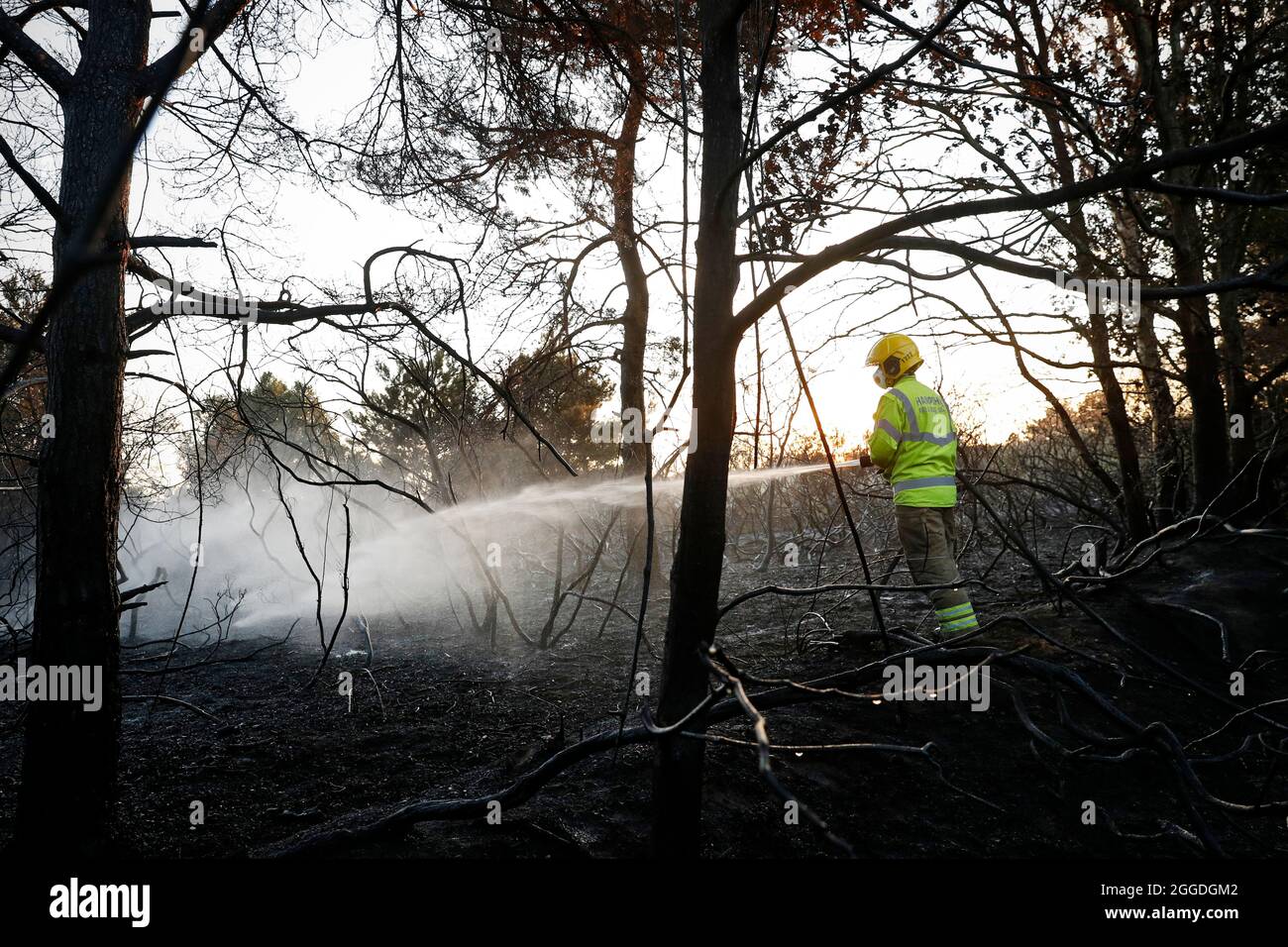 Firefighters from Hampshire Fire and Rescue spray water to douse the flames and put out a wildfire on heathland near Yateley. Stock Photo