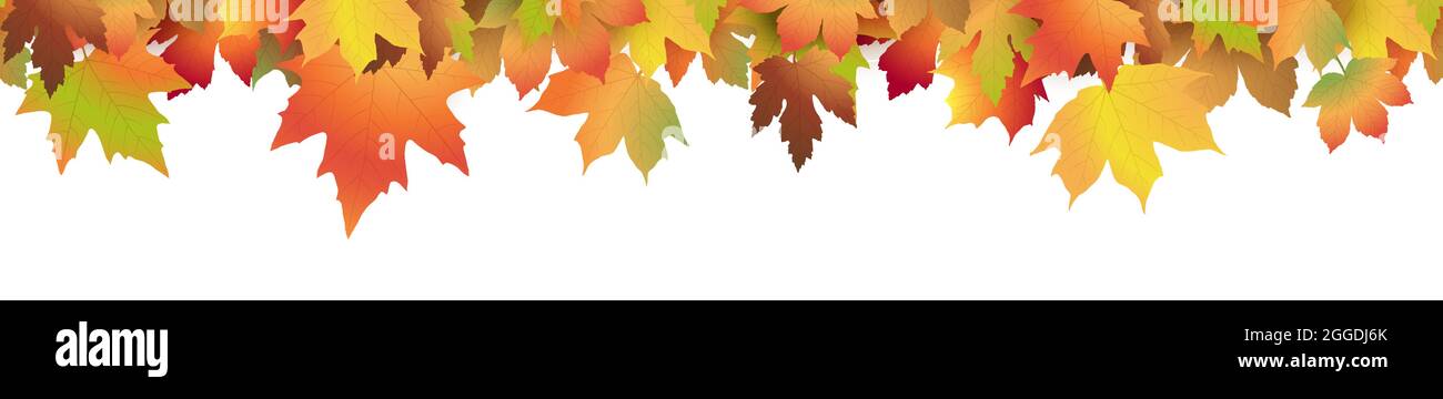 eps vector file with end of summer or fall maple colored leaves on upper side, seamless panorama style Stock Vector