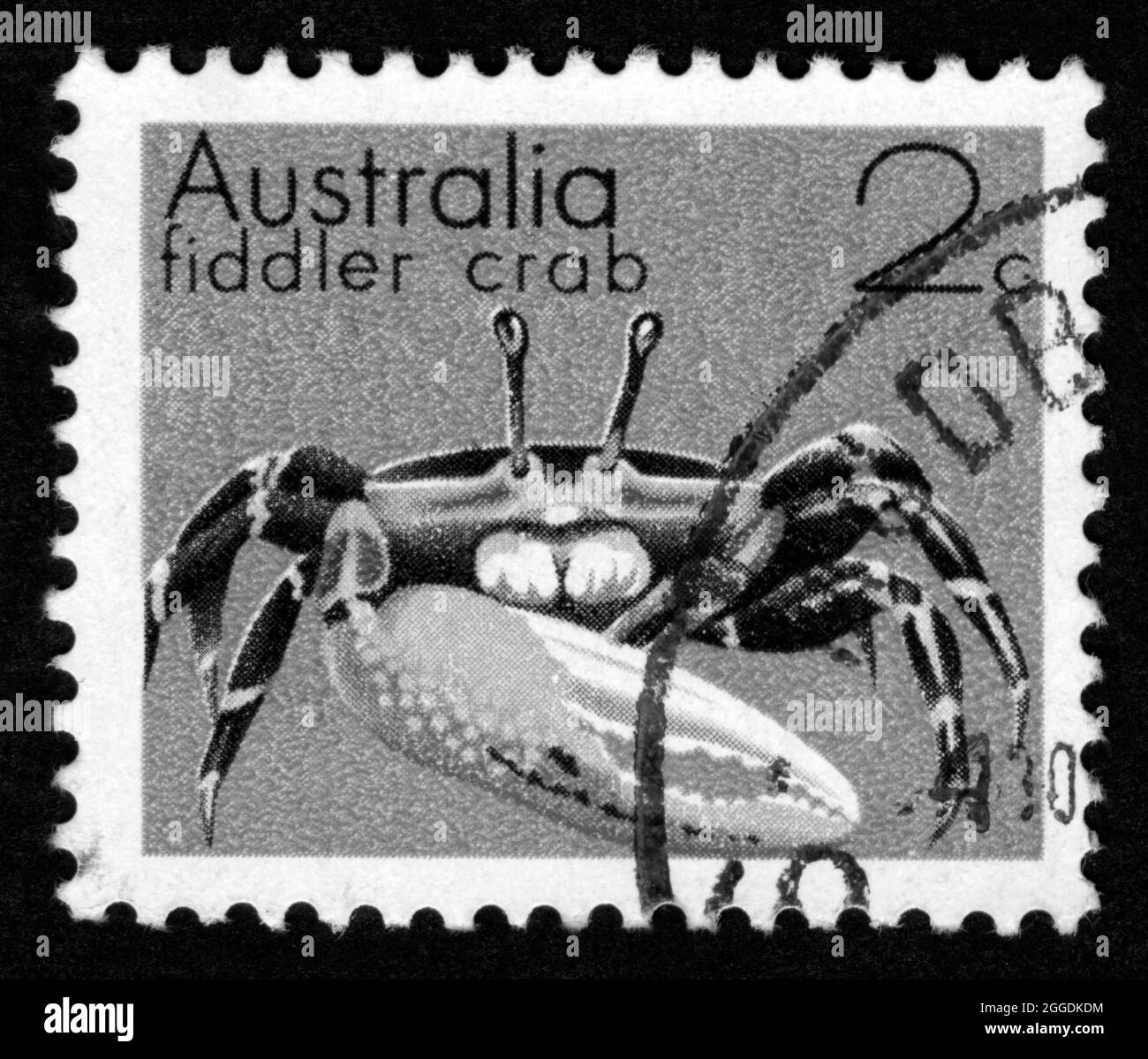 Stamp print in Australia,Fiddler crab Stock Photo Alamy