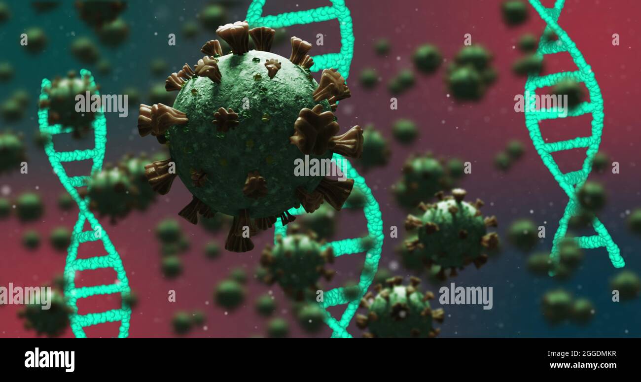Bacteria with dna strand hi-res stock photography and images - Alamy Bacteria with dna strand hi-res stock photography and images - Alamy