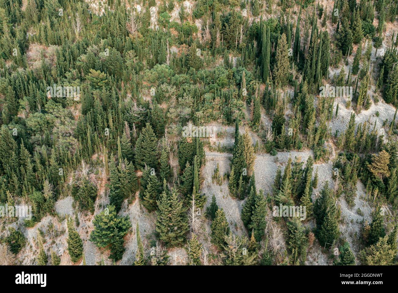 Aerial view of green hills Stock Photo - Alamy
