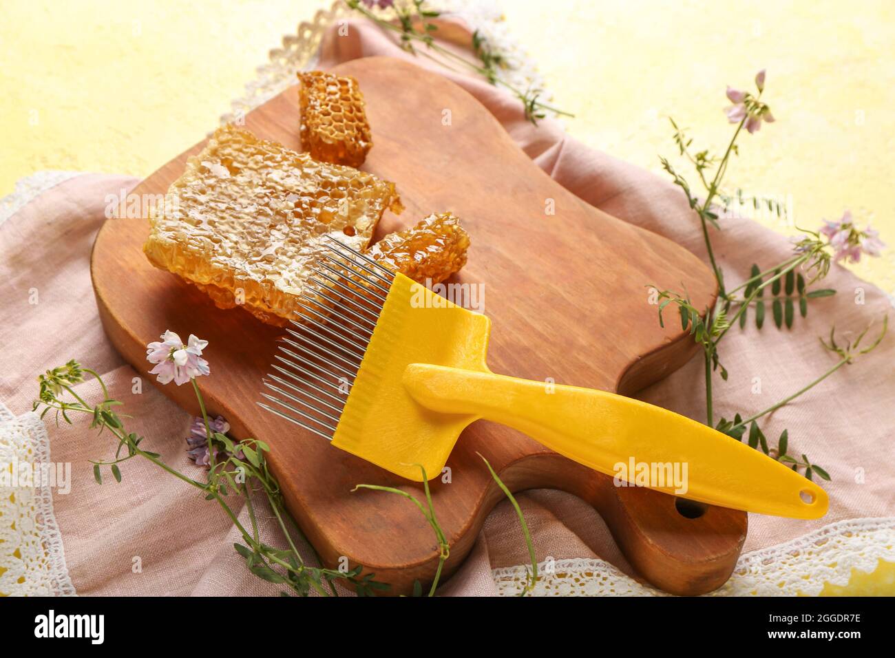 Bee hive uncapping comb and honey on color background Stock Photo