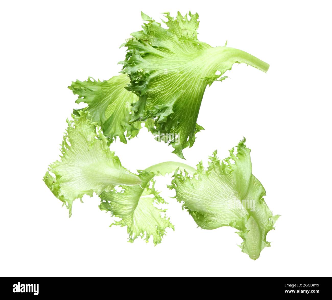 Flying lettuce salad on white background Stock Photo Alamy