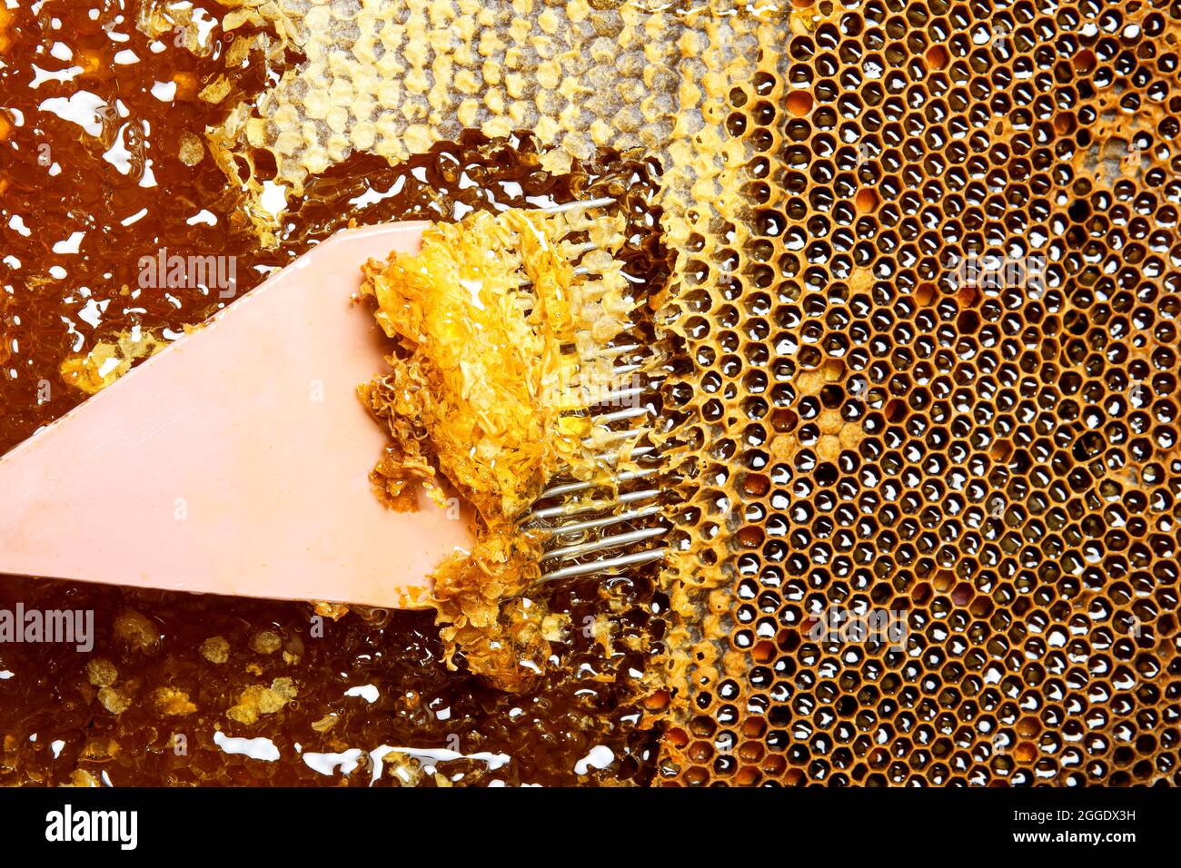 Uncapping honey from frame at apiary, closeup Stock Photo