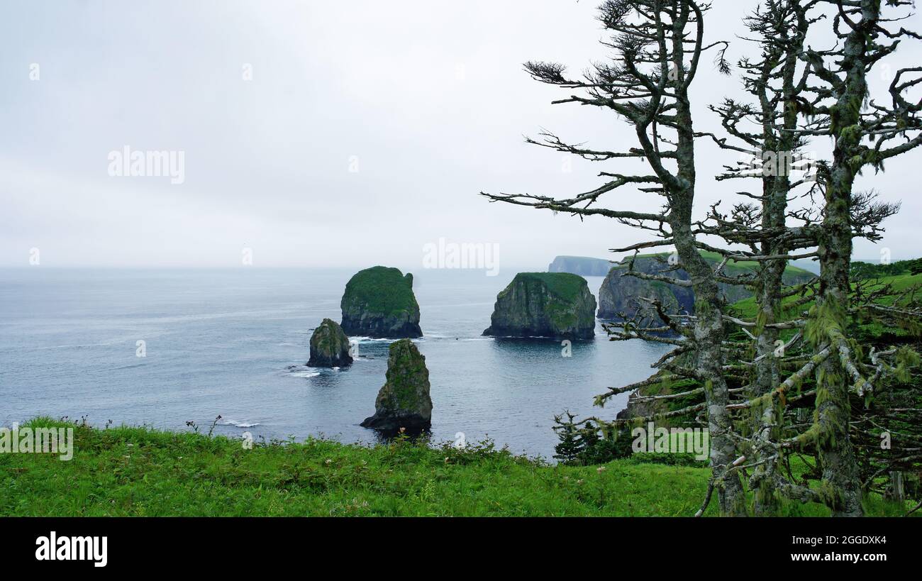 Green Cliffs and bay of Kuril islands. Shikotan. Stock Photo