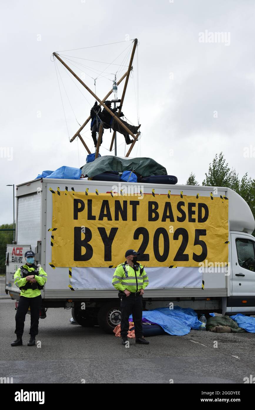 2021 animal rebellion arla hi-res stock photography and images - Alamy