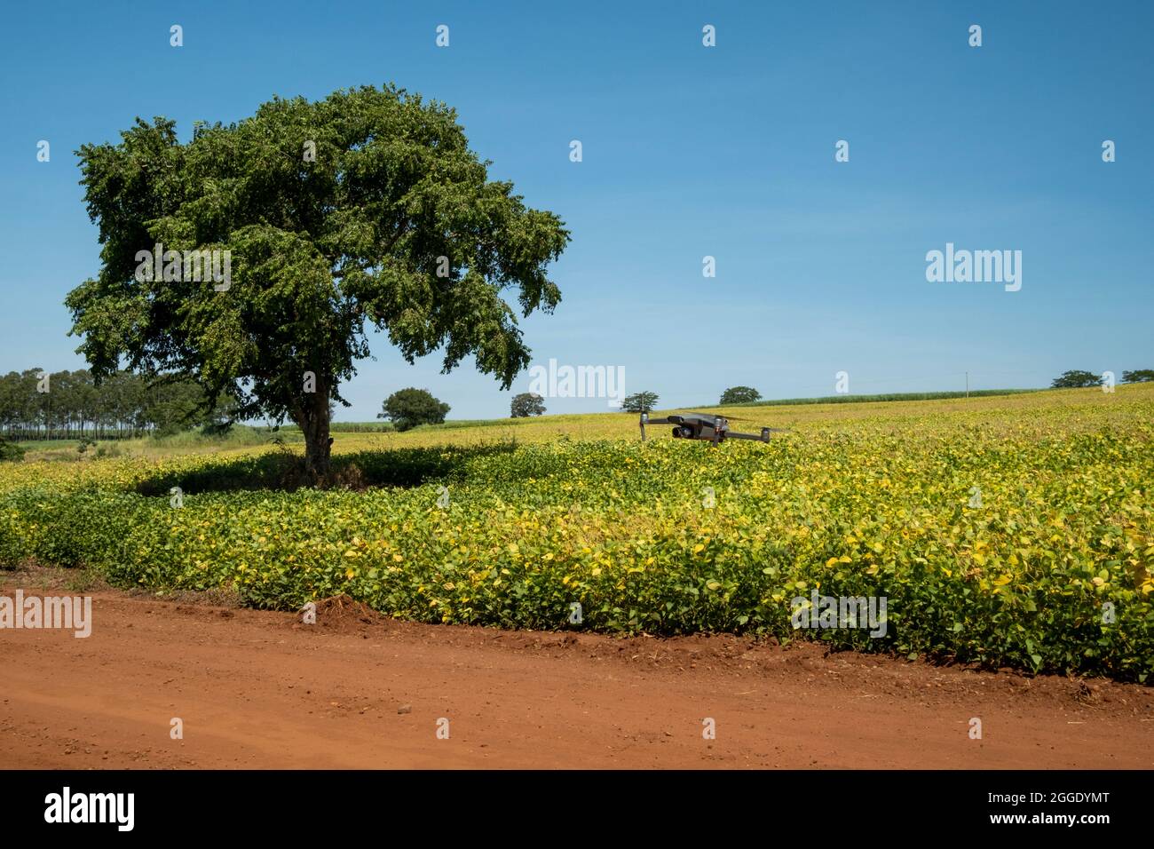 Agriculture drone brazil hi-res stock photography and images - Alamy