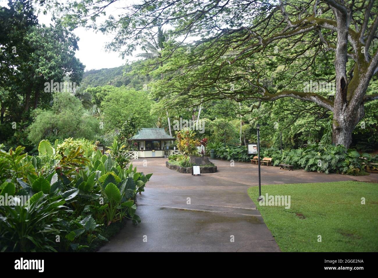 Oahu, HI U.S.A. 6/4&7/2021. Waimea Valley Visitors Center. Waimea
