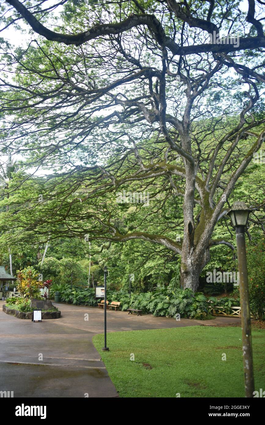 Oahu, HI U.S.A. 6/4&7/2021. Waimea Valley Visitors Center. Waimea