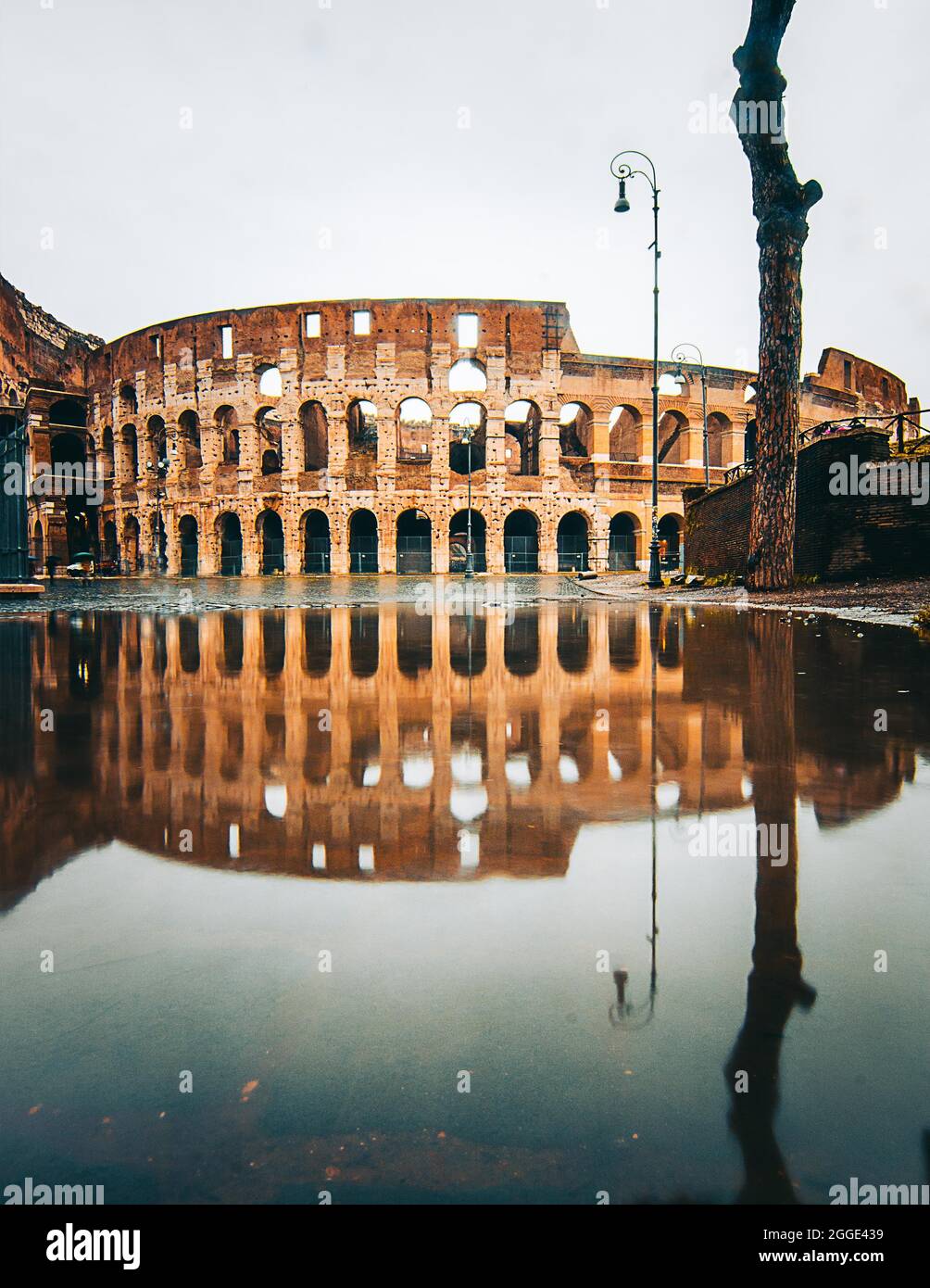 The Colosseum with reflection, puddle, sunrise, Rome, Italy Stock Photo ...