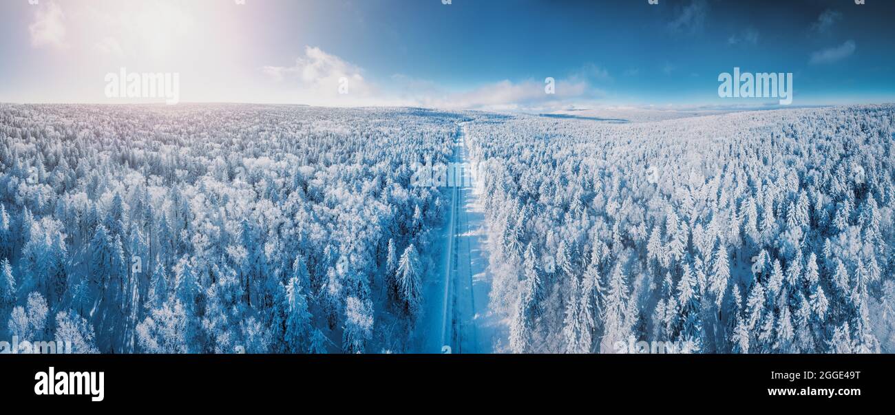 Drone photo of snow covered evergreen trees Stock Photo