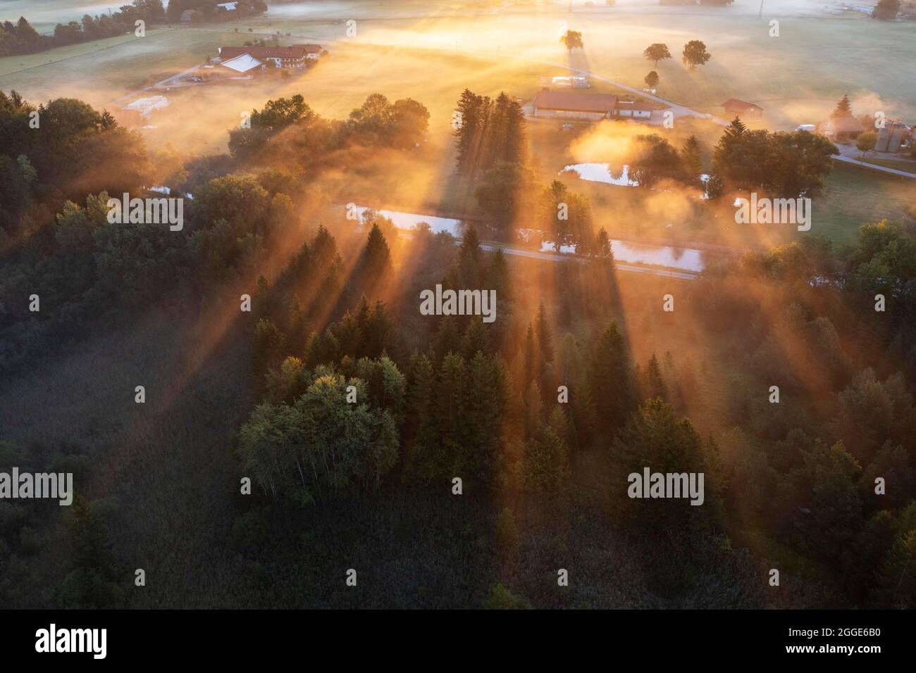 Sunrise with fog over cultivated landscape, Loisach canal near Geretsried, drone shot, Alpine foothills, Upper Bavaria, Bavaria, Germany Stock Photo