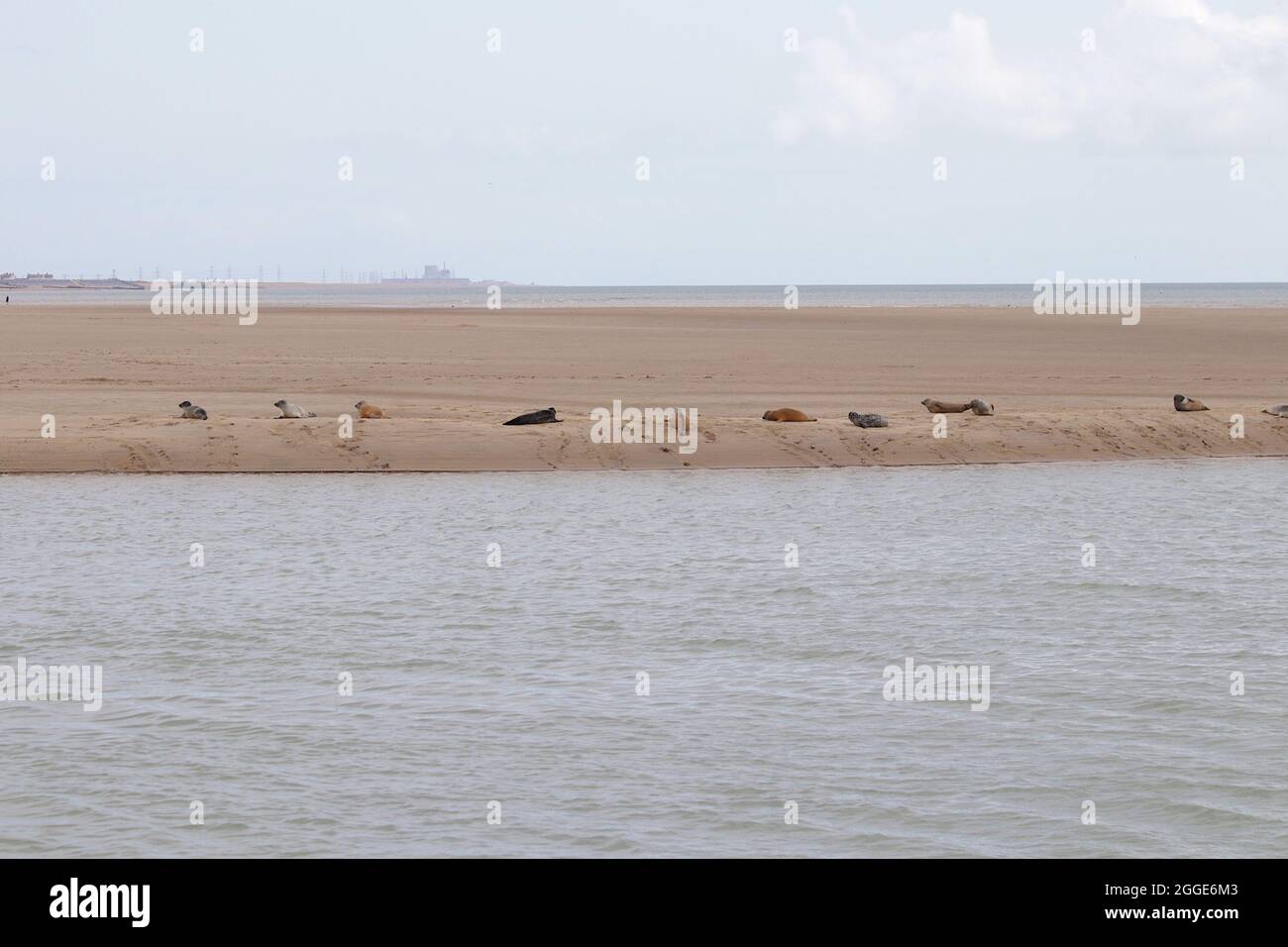 Camber sands beach see hi-res stock photography and images - Alamy